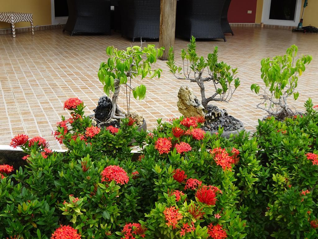 Bohol Sunside Resort Panglao Dış mekan fotoğraf